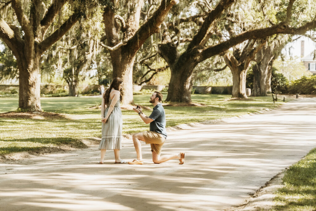 Zach proposes to Lauren under the oaks at Boone Hall Plantation in Charleston SC
